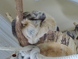 Tiergarten Schönbrunn am 12.03.2025